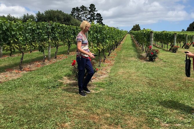 Kumeu Wine Tour - Pricing and Booking Information