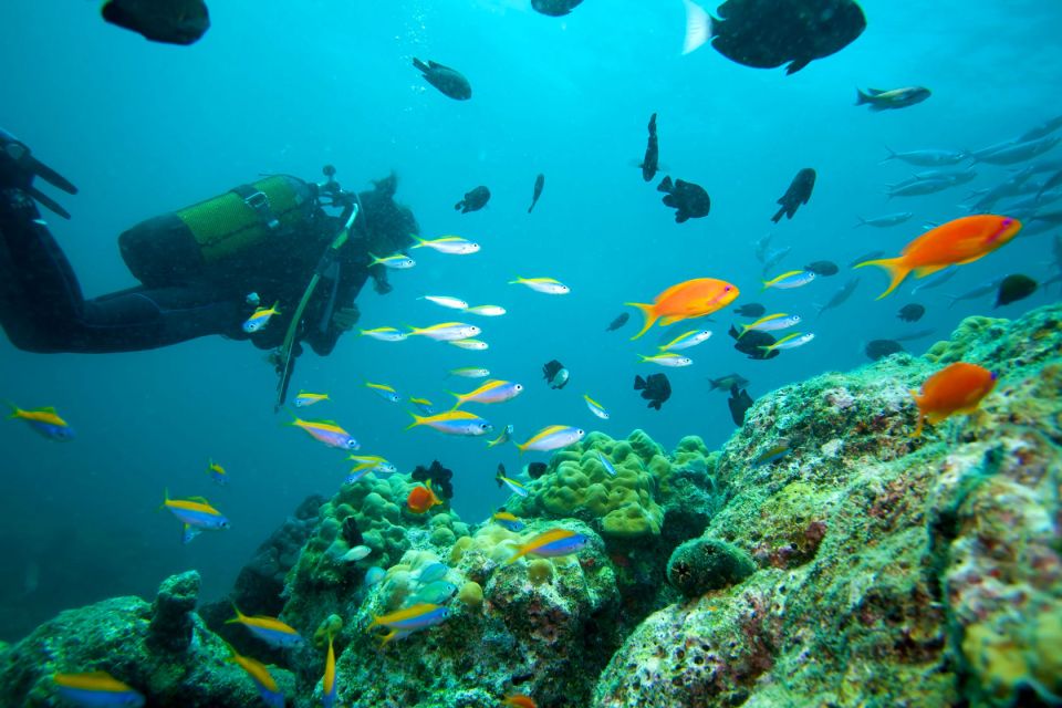 Kusadasi Scuba Diving - Meeting Points for Participants