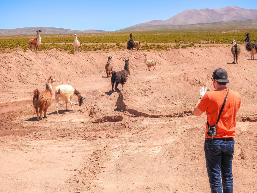 La Paz: Uyuni Salt Flats & Isla Incahuasi 5-Day Bus Tour - Entrance Fees Overview