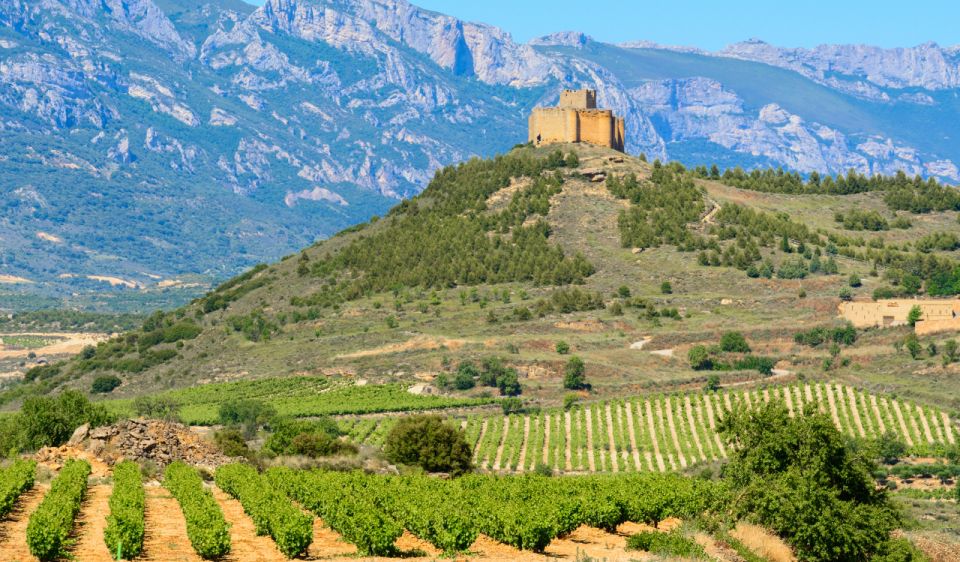 La Rioja Vineyards Private Tour From Bilbao (3 Vineyards) - Included Experiences