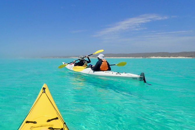 Lagoon Explorer - Ningaloo Reef Full-Day Kayaking and Snorkeling Adventure - Guest Reviews and Experiences