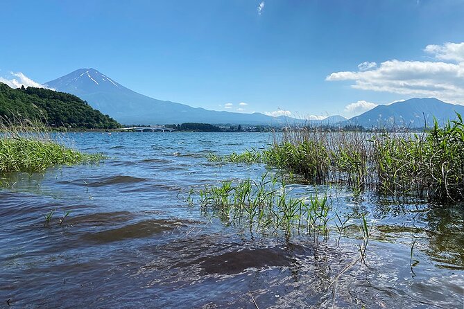 Lake Kawaguchiko Bike and Hike Tour - Highlights of the Experience