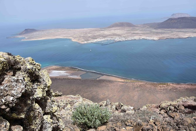 Lanzarote Cesar Manrique With Green Caves or Jameos Del Agua Entrance - Reviews and Ratings