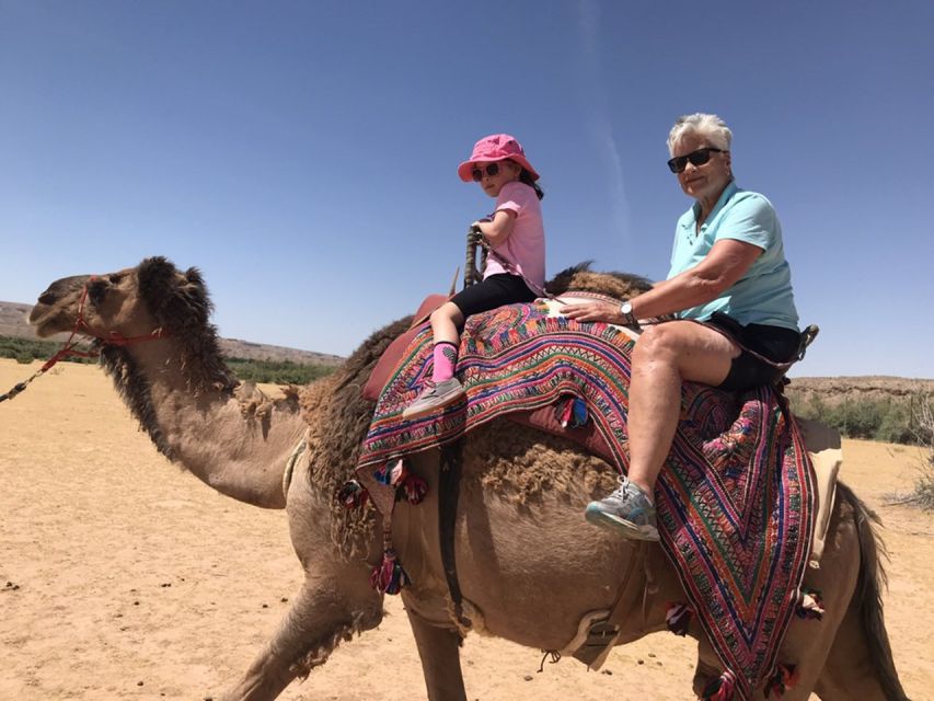 Las Vegas: Desert Camel Ride - Restrictions and Requirements