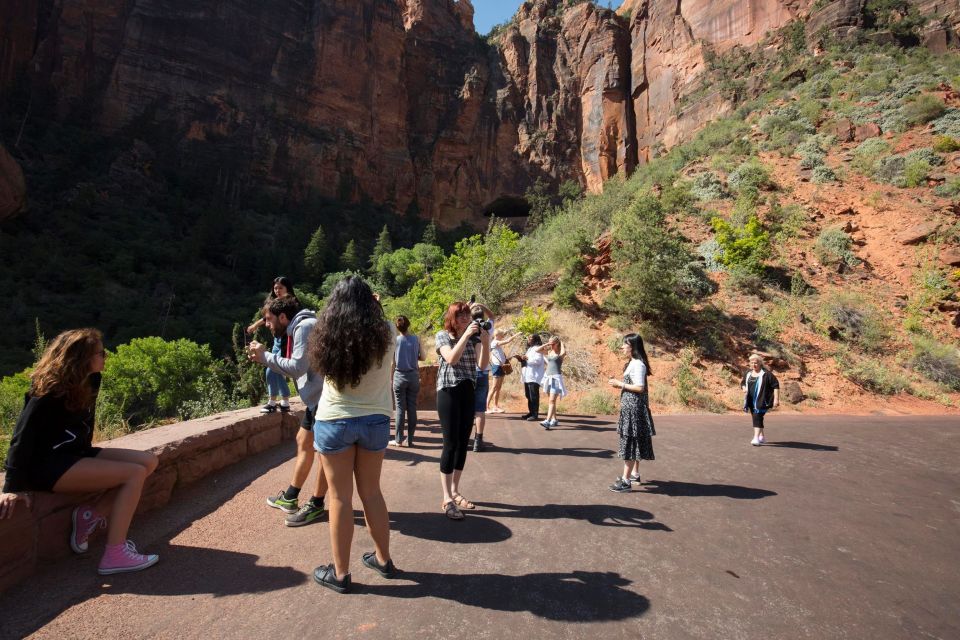 Las Vegas: Valley of Fire and Zion National Park 1-Day Tour - Meeting Point and Directions