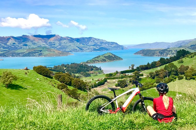 Lava Loop- Guided Electric Mountain Bike Tour in Akaroa - Traveler Testimonials