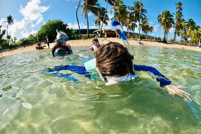 Learn to Snorkel for Families W Children in San Juan, Puerto Rico - Accessibility Considerations