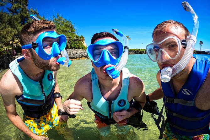 Learn to Snorkel With Fish and Turtles - What to Bring and Expect