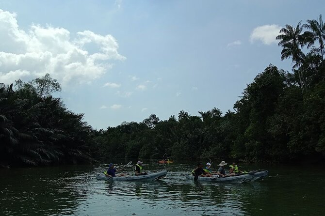 Lebam River Kayaking Adventure - Pricing Structure