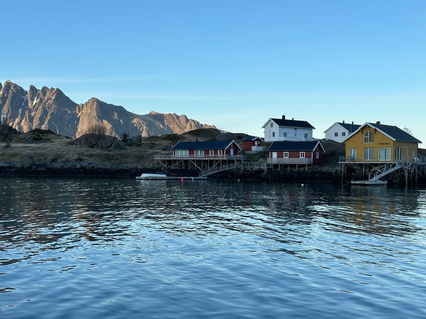 Leknes: 4 Hours Private Exclusive Boat Sightseeing - Boat Features and Amenities