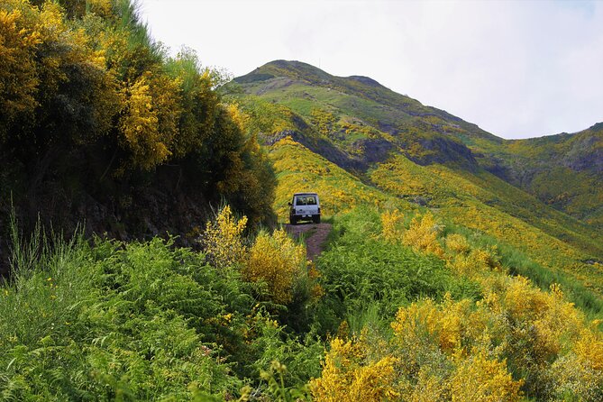 Let-Me-Surprise-You Private Full-Day Tour in a All Terrain, Open Top Car - Tour Highlights