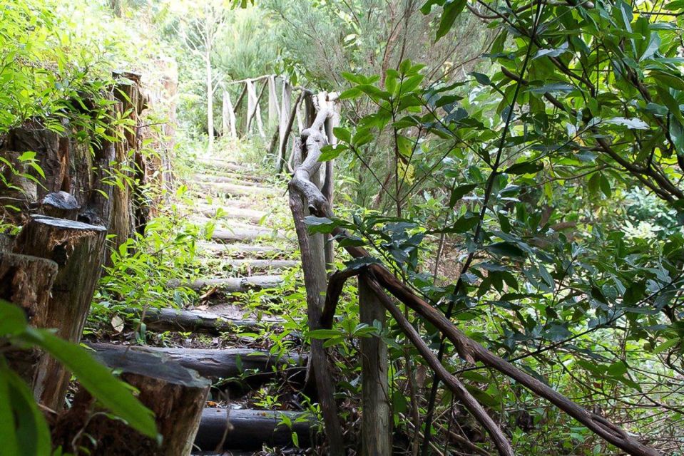 Levada Walk and Caldeirao Verde Waterfalls: Madeira - Duration and Specifics