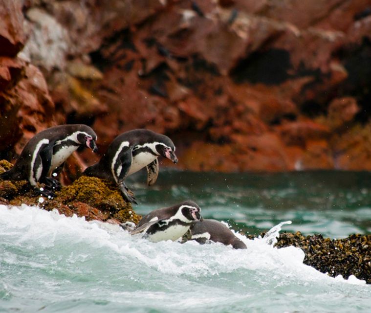 Lima: Day Bus Tour to Paracas & Hacienda San Jose Tunnels - What to Bring