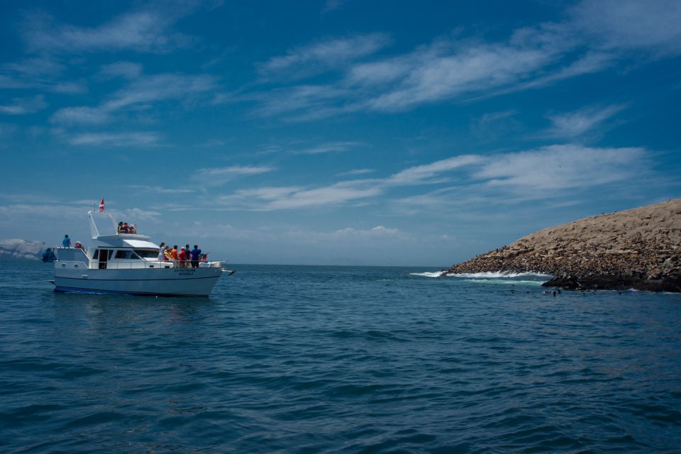 Lima: Sea Lion Swim and Wildlife Palomino Islands Cruise - Meeting Point Details