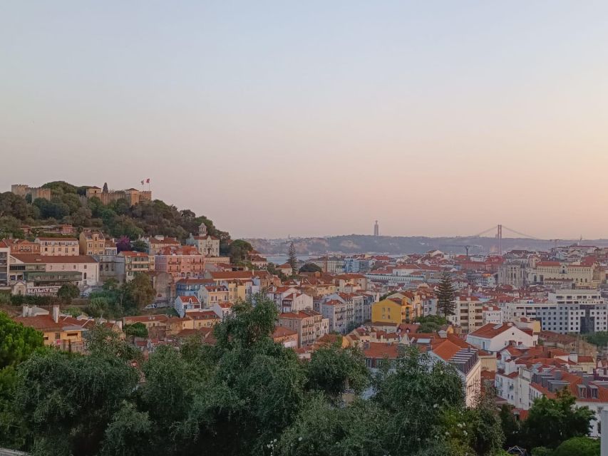 Lisbon: 4 Hour Private Tour Through Lisbon (Up to 6 People) - Accessibility and Recommendations