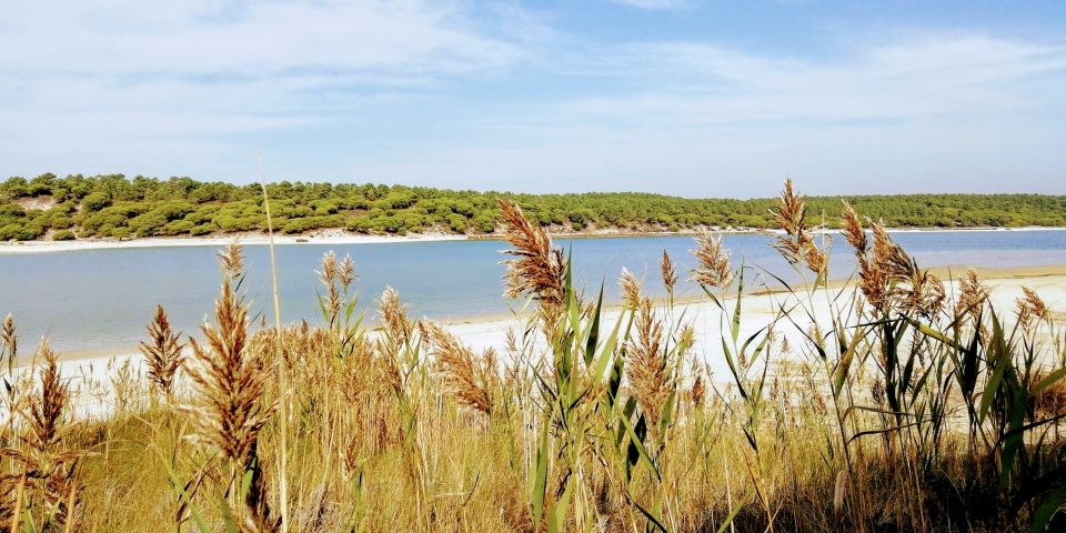 Lisbon: Stand Up Paddle Adventure at Albufeira Lagoon - Important Considerations for Participants