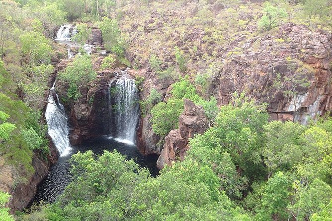 Litchfield National Park and Jumping Crocodile Cruise - Wildlife Encounters