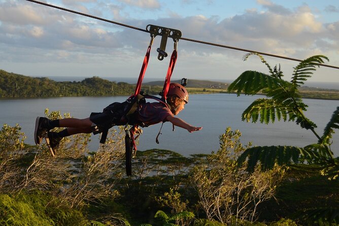 Locally Guided Tambopata Amazon Jungle Tour (4 Days) - Activities and Itinerary Highlights