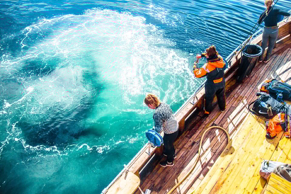 Lofoten: Traditional Fishing Trip - Best Times to Visit