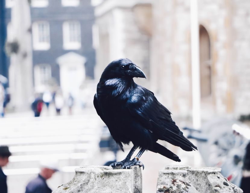 London: Private Tour of the Tower of London - Meeting Point and Logistics