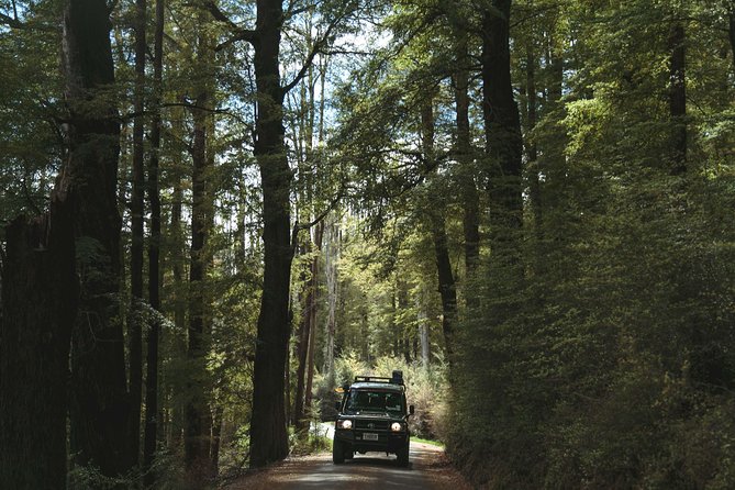 Lord of Rings Full-Day Tour Around Queenstown Lakes by 4WD - Group Size and Comfort