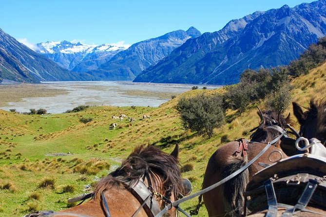 Lord of the Rings High Country Station Pioneering Experience & Scenic Day Tour - What to Expect