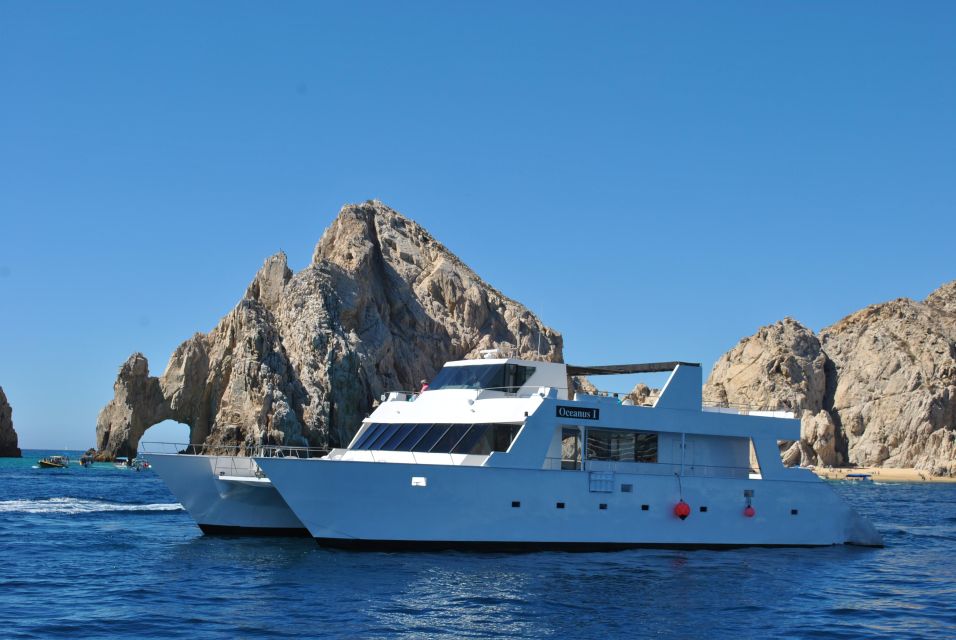 Los Cabos: Reef Snorkeling Cruise With Lunch and Open Bar - Mobility and Swimming Requirements