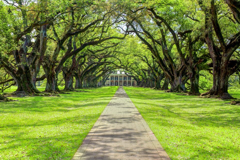 Louisiana Plantation Country Half-Day Tour - Frequently Asked Questions