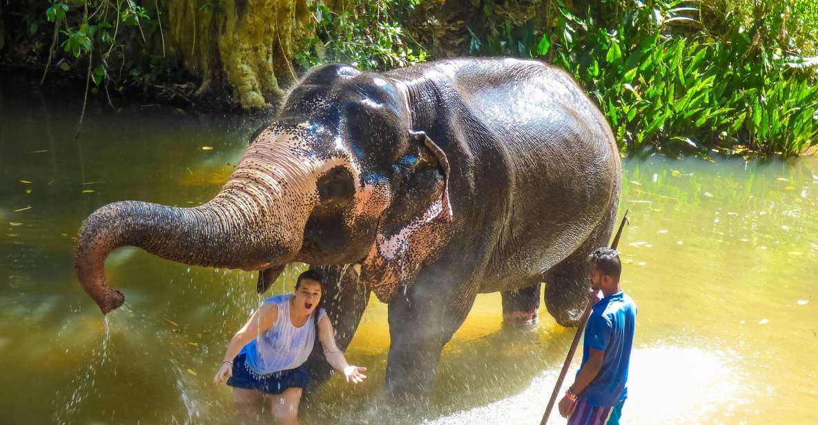 Luang Prabang Elepphant Keeper Bathe Option Kuangsi Tour - Frequently Asked Questions