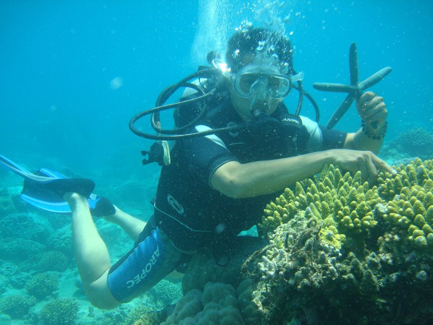 Luxury Nha Trang Island Discovery Trip - Customer Reviews