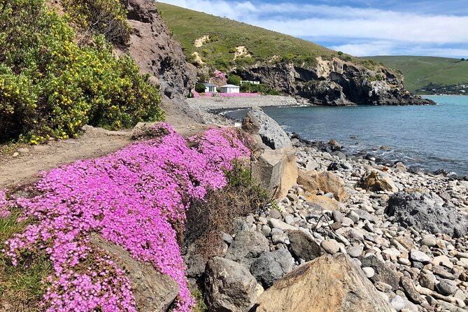 Luxury Private Guided Crater Rim Walk on Banks Peninsula - Cancellation Policy