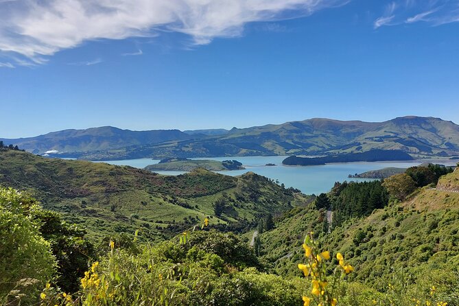 Lyttelton Shore Excursion: Christchurch Sightseeing With Jet Boating - Tips for an Enjoyable Excursion