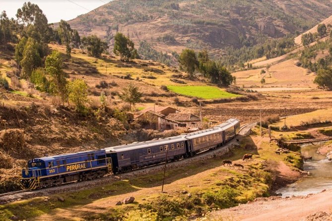 Machu Picchu Tour By Train (2 Days) - Customer Experiences