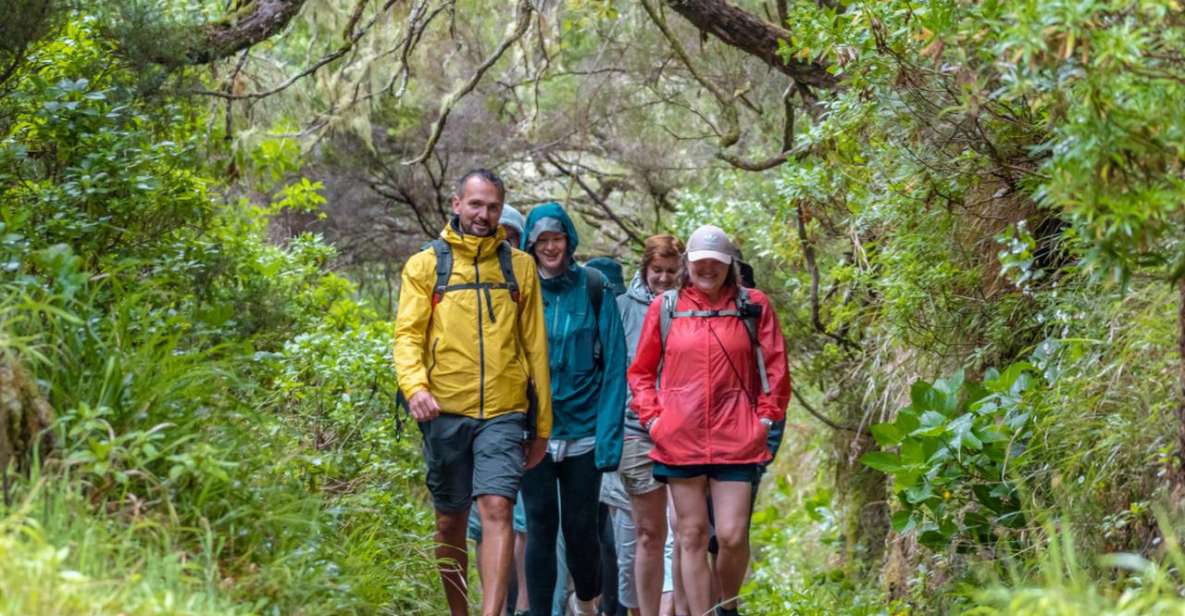 Madeira: Rabacal 25 Fountains Levada Walk & Cabo Girao - Traversing the Volcanic Tunnel