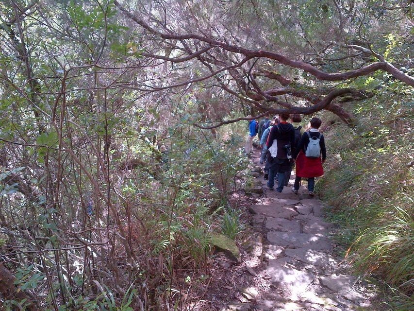 Madeira: Rabaçal Valleys 3-Hour Guided Walk - Languages Offered