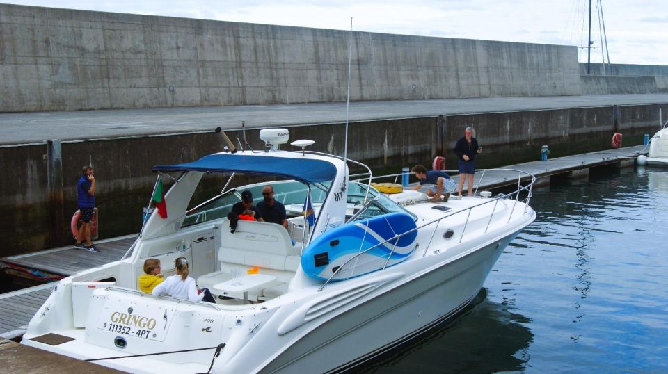 Madeira: Yacht Tours - Wildlife & Bays, Sunset, Desert Isles - Onboard Experiences