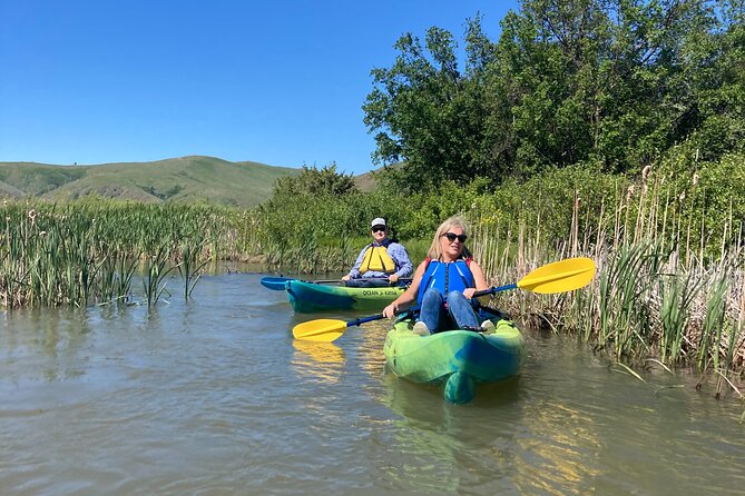 Madison River Guided Kayak Tour - Wildlife Viewing Tips