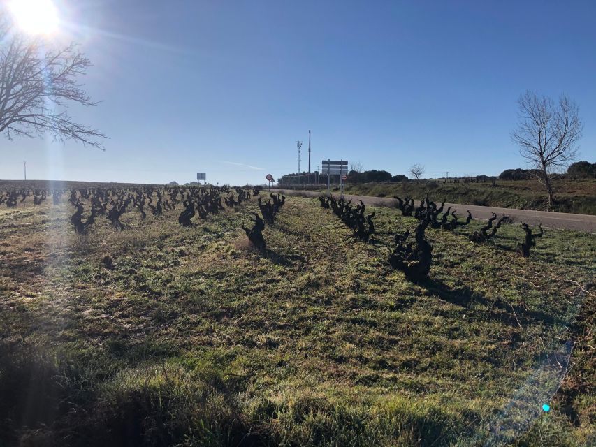 Madrid: Visit to Winery With Tasting + Lunch - Additional Information