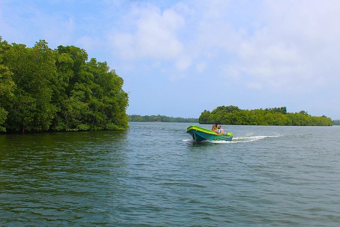Madu River Boat Safari Balapitiya - Wildlife Viewing Opportunities