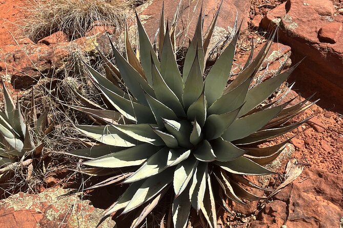 Magical Sedona Highlight Tour - Recommendations for Visitors
