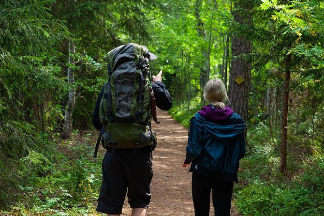 Magical Taiga Forest Hike With Lunch and Transportation - Hassle-free Transportation