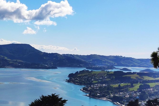 Mainland Peninsula Tour - Customer Feedback