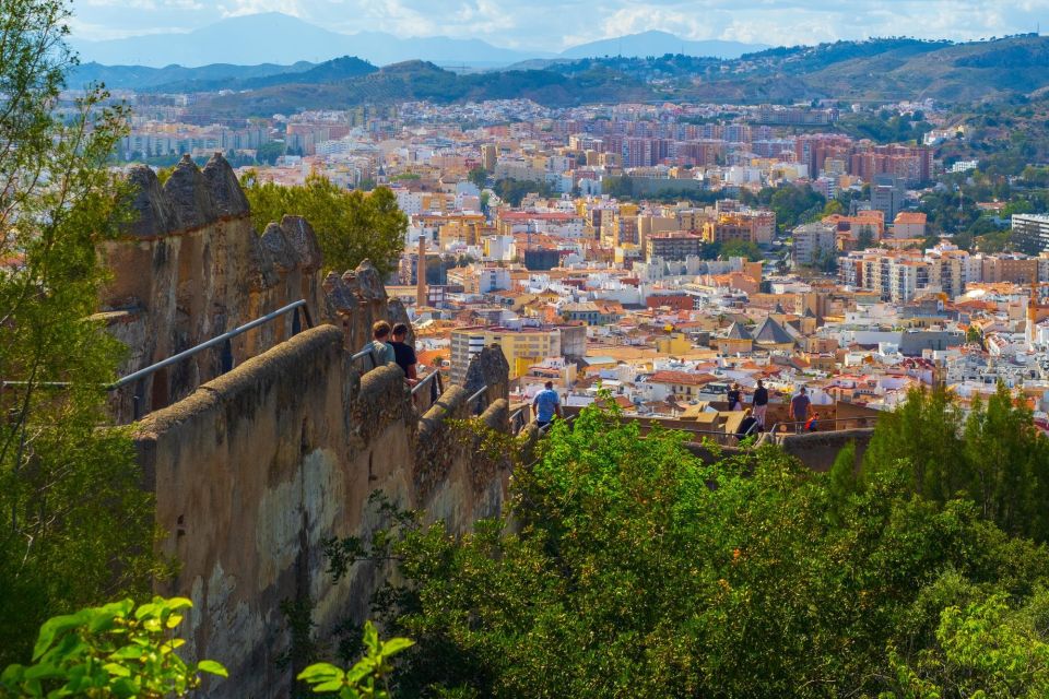 Malaga: Private Exclusive History Tour With a Local Expert - Accessibility