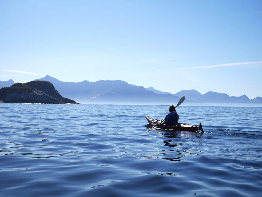Malangen: Fjord Kayaking With Lunch - Meeting Point Details
