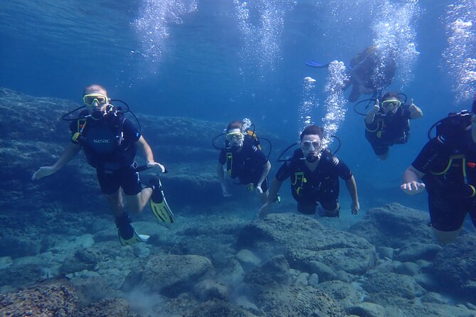 Mallorca: Try Scuba Diving in a Beautiful Nature Reserve - Meeting and Pickup Details