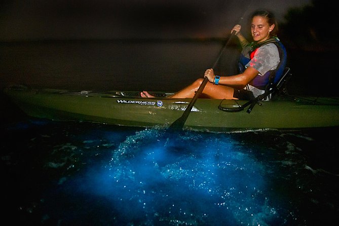 Manatees/Sunset/Bioluminescence Tour - Preparation Tips
