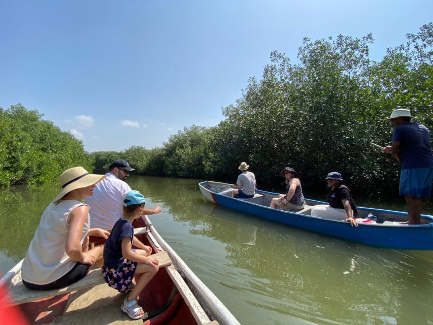 Mangrove Ecotour and Fishing in Cartagenas Natural Mangrove - Cultural Insights