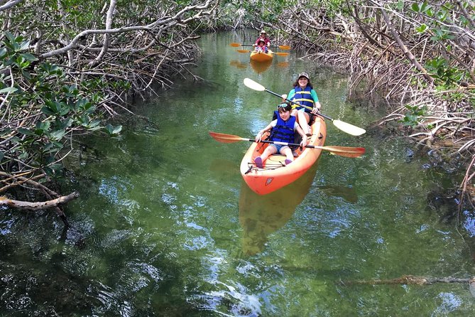 Mangroves and Manatees - Guided Kayak Eco Tour - Group Size Limit