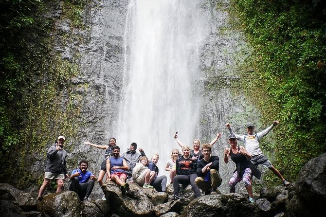 Manoa Waterfalls Hike With Local Guide - What to Expect on the Trail