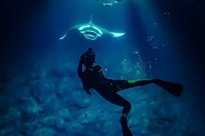 Manta Ray Night Snorkel & Sunset Cruise, Kona, Big Island Hawaii - Potential Issues